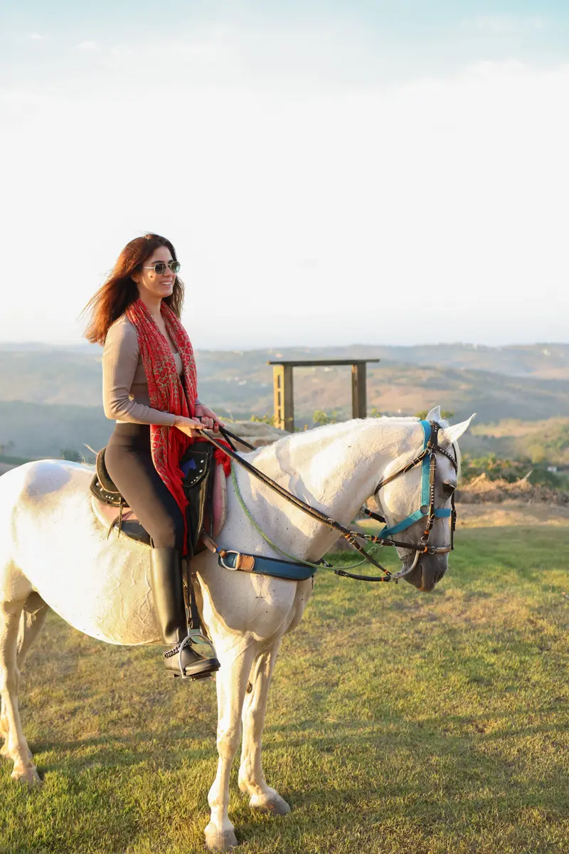 Cavaleiro em um cavalo branco com o vale ao fundo