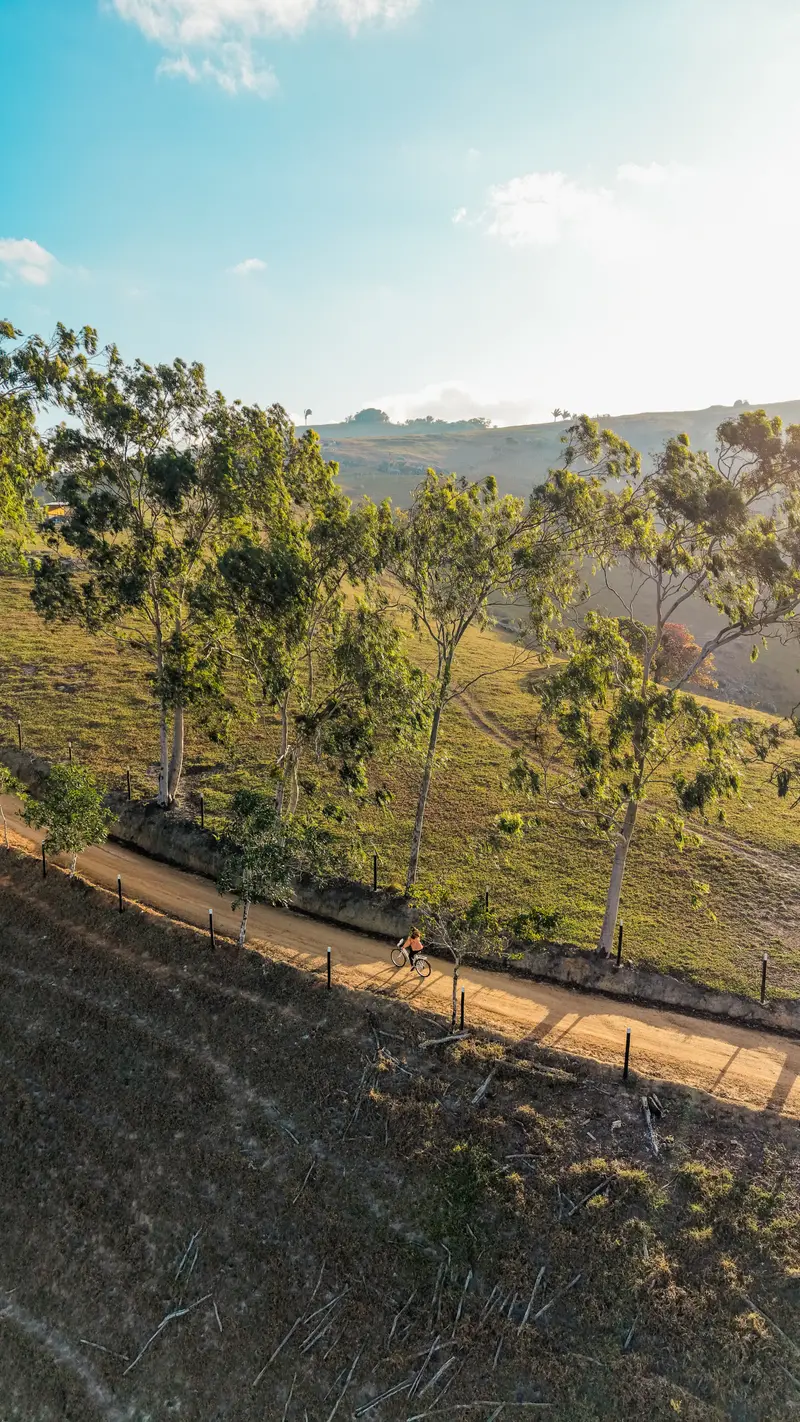 Trilha entre árvores e colinas da propriedade, vista de cima