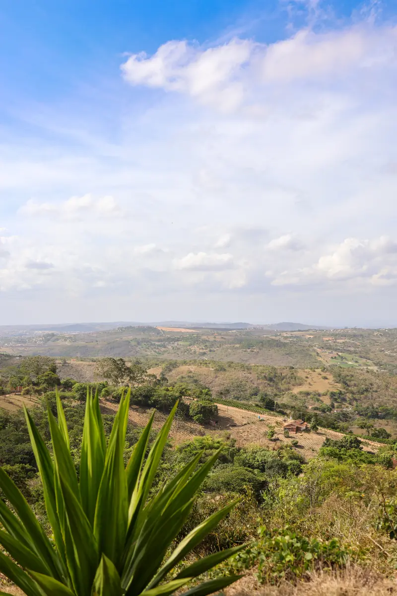 Colinas do vale vistas da propriedade